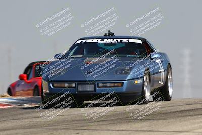 media/Jul-26-2025-Speed Ventures (Sat) [[fe569e6cf0]]/Purple Group/Grapevine/